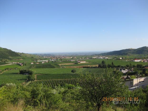 TREGNAGO: TERRENO EDIFICABILE PANORAMICO DI AMPIA