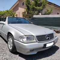 Mercedes-benz SL 300 SL-24 cat