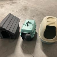 Accessori per gatti