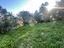 Immagine 11