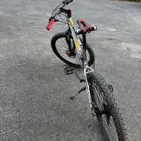 Bicicletta mountain bike