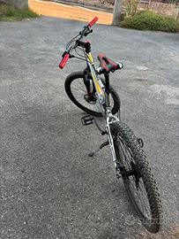 Bicicletta mountain bike
