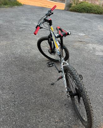 Bicicletta