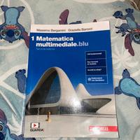 matematica multimediale blu