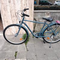 Bici da città tipo olandese