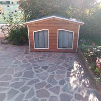 Cuccia Doppia per Cani Taglia Grande