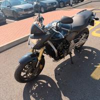 Honda hornet 600 2009 cb600