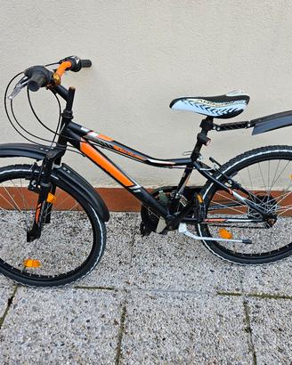 mountain bike 24 pollici Castel Maggiore