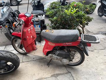 Ricambi Honda SH 50 Fifty