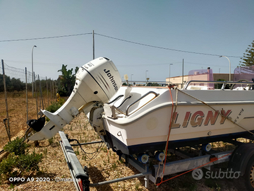 Johnson 40 50 4 tempi iniezioni tagliandato