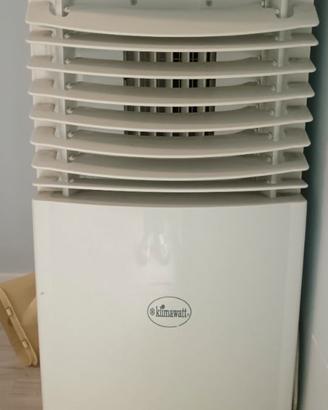 Climatizzatore portatile