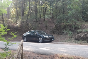 Opel insigna 2009 163cv 5 porte