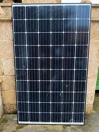 Modulo fotovoltaico QCELLS 300W
