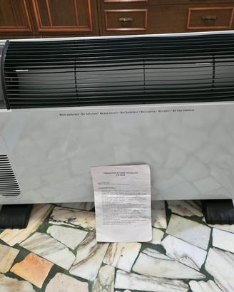 termoconvettore