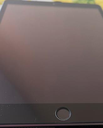 Apple iPad wifi cellular 256 giga