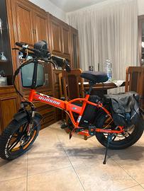bici elettrica 