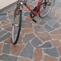 Bicicletta da uomo