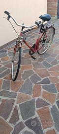 Bicicletta da uomo