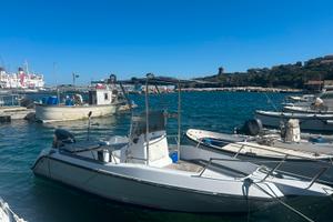 Barca Elan Fisherman