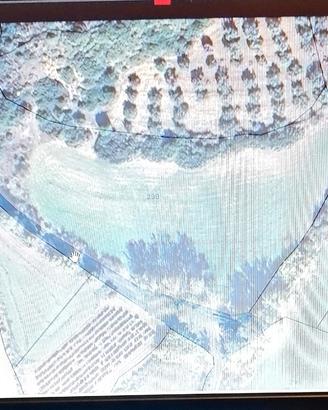 Terreno agricolo