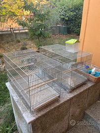 Regalasi gabbiette per canarini