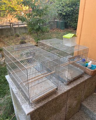 Regalasi gabbiette per canarini