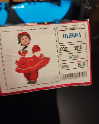 vestito di carnevale 