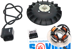 Accensione Elettronica Pinasco Flytech d.20 PX PE