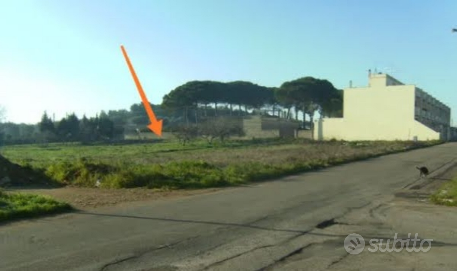 Campi Salentina (Lecce) Terreno edificabile - Vista 2