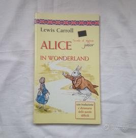 Libro inglese alice in wonderland - Junior