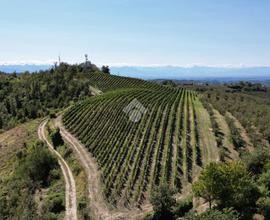 TER. AGRICOLO A LEQUIO BERRIA