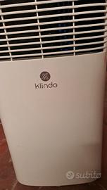 climatizzatore portatile