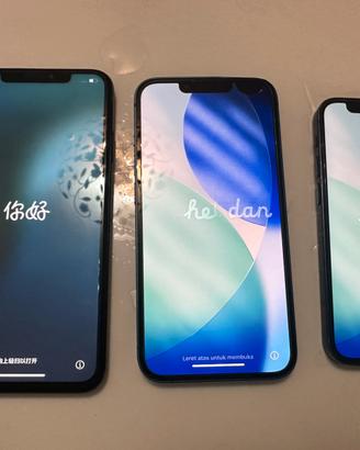 Iphone 13 + 12 mini + Xs max