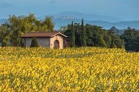 Scarperia San Piero a Sieve Porz colonica 5 vani