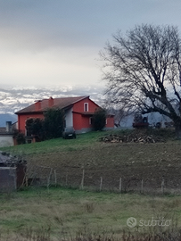 Villetta parco del pollino