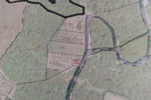Terreno bosco