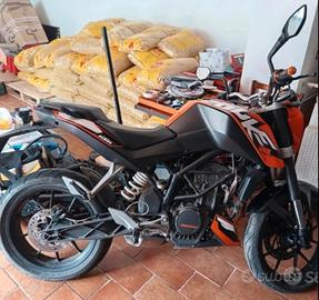 ktm duke