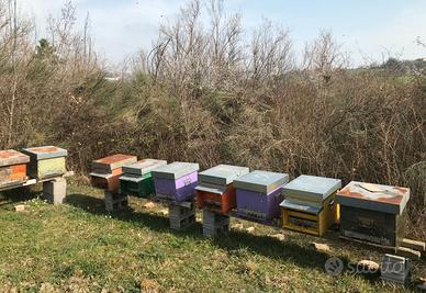 FAMIGLIE APE LIGUSTICA