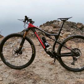 Orbea oiz m10 online custom