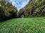 Immagine 10