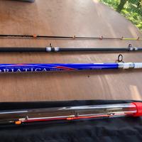 Colmic adriatica 380