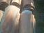 Immagine 2