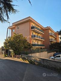 Bilocale anno 2009 zona Villanova unica proprietà