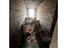 Immagine 28