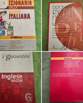 Lotto 4 dizionari