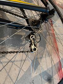 Bicicletta schott da donna