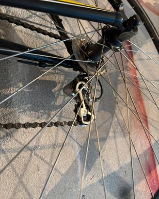 Bicicletta schott da donna