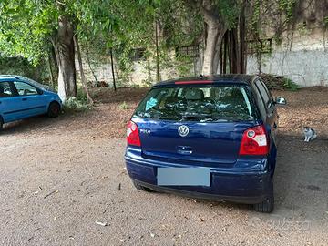 Auto polo