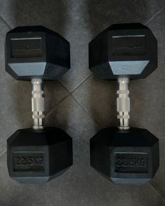 Manubri palestra 45 kg totali