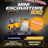 Miniescavatori da 10Q